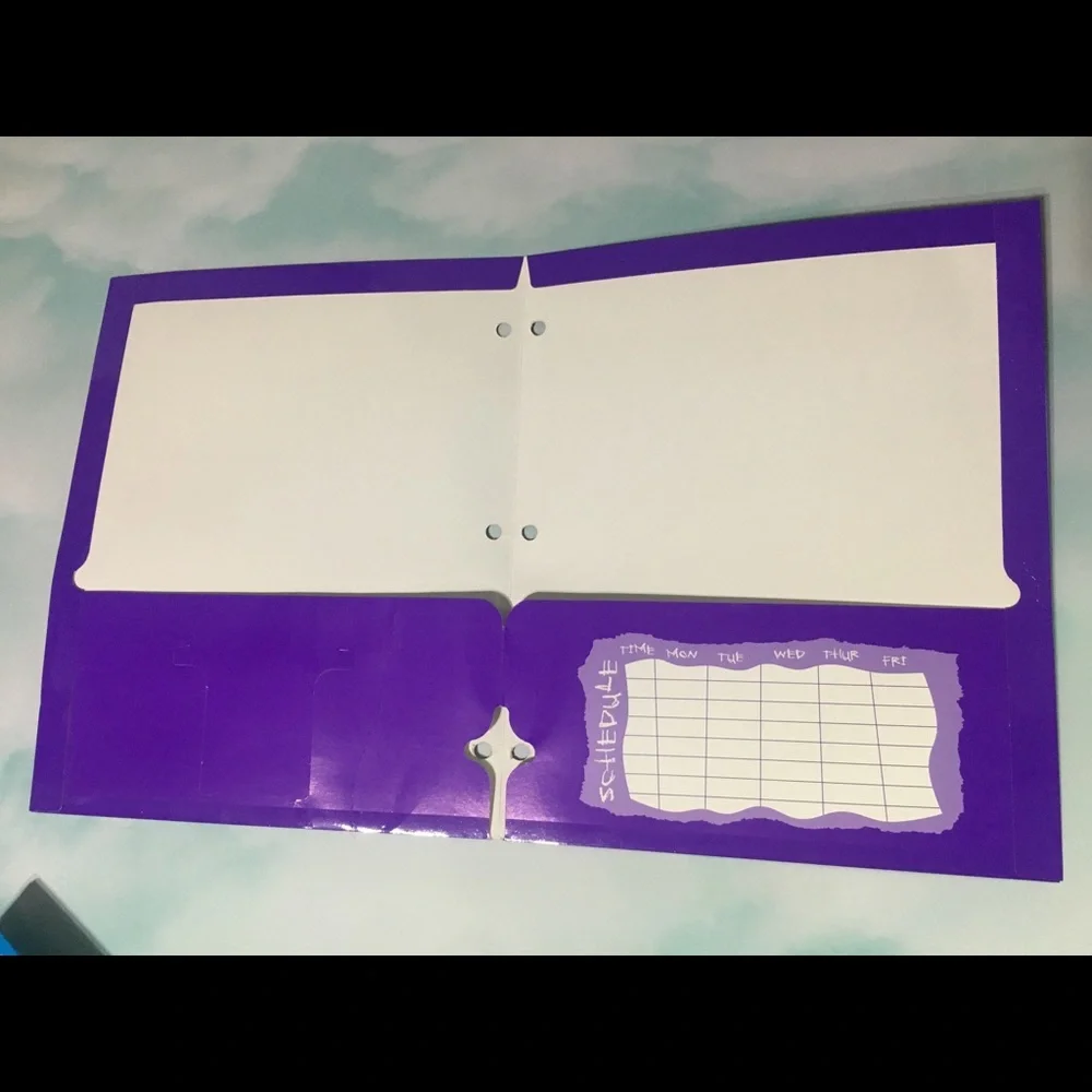 SAILOR MOON Stickers On Purple Folder